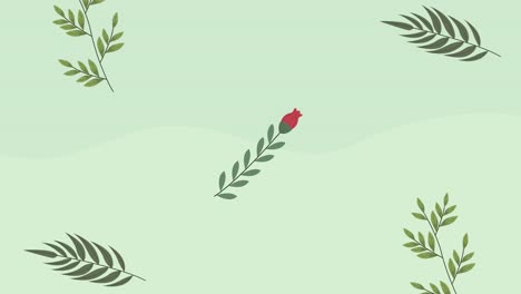 spring season animation with floral pattern