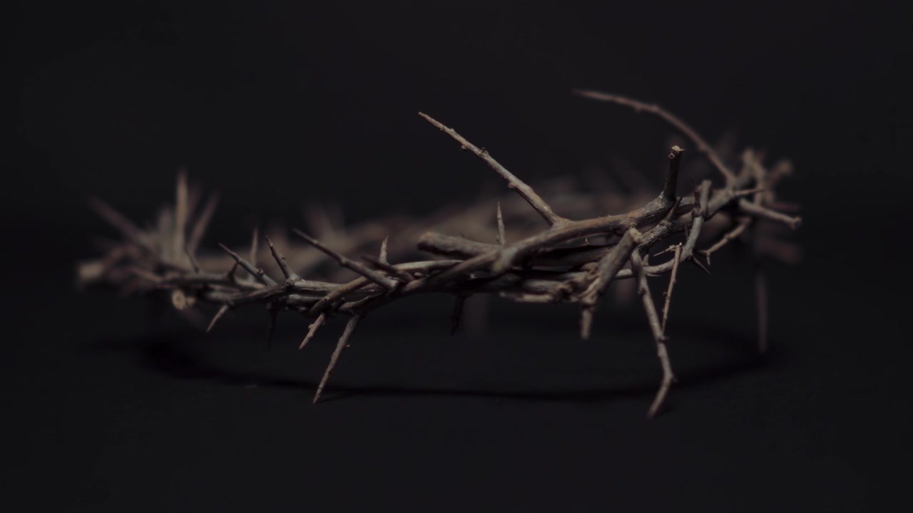 Crown of Thorns on a Dark Background