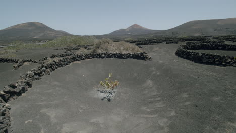 Una-Vista-Panorámica-De-La-Geria