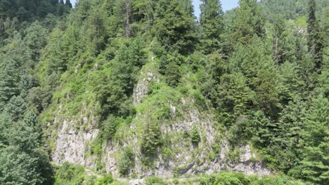 drone footage of ayubia pipeline track stunning forest trail in pakistan