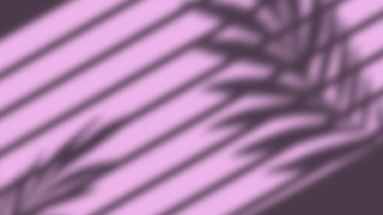 Animation of window shadow of leaves and blinds over pink background