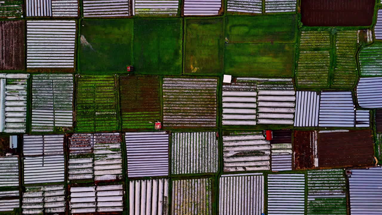 Aerial view of patchwork farms in Bukit Selong, Indonesia, vibrant mood