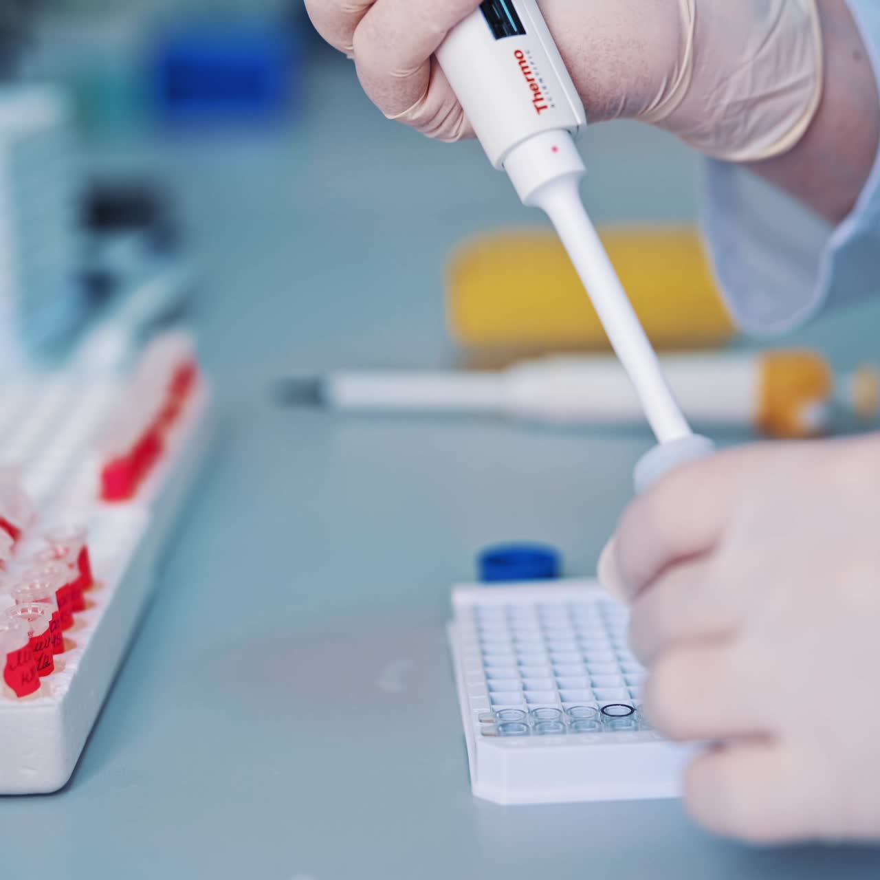 Laboratory scientist conducting research