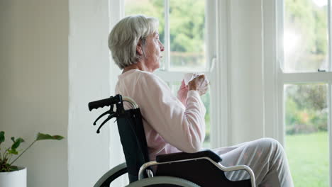 mujer mayor, café y silla de ruedas por la ventana