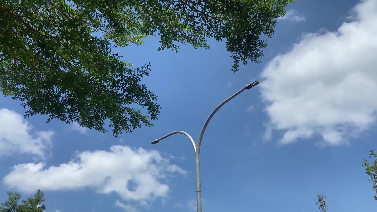 Langit Biru dengan Awan Bergerak, Lampu Jalan, dan Daun Pohon Hijau