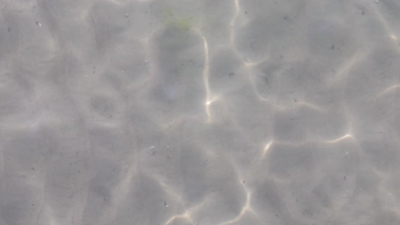 Ocean Floor with Sunlight and Gentle Waves