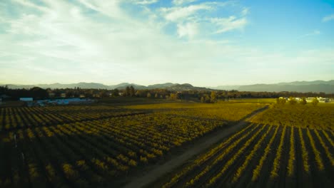 los campos sombreados de una granja se esconden del sol poniente