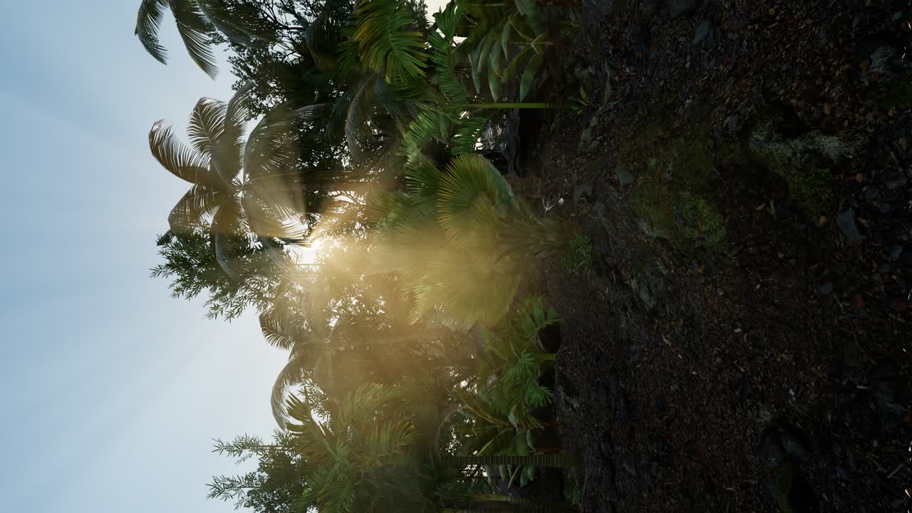 vista del bosque verde tropical con llamaradas solares por la mañana