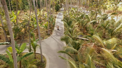 vue aérienne couple de scooters sur une île tropicale explorant la forêt de palmiers en moto touristes explorant la destination de vacances en moto