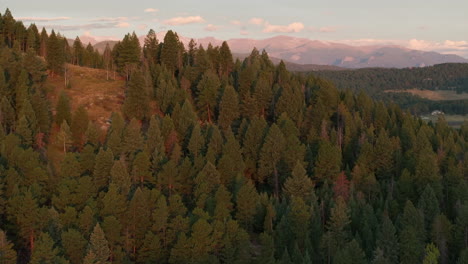 cinematic aerial drone helicopter first snow on denver mount blue sky evans 14er peak early autumn fall beautiful golden yellow morning sunrise day colorado rocky mountains slowly reveal forward