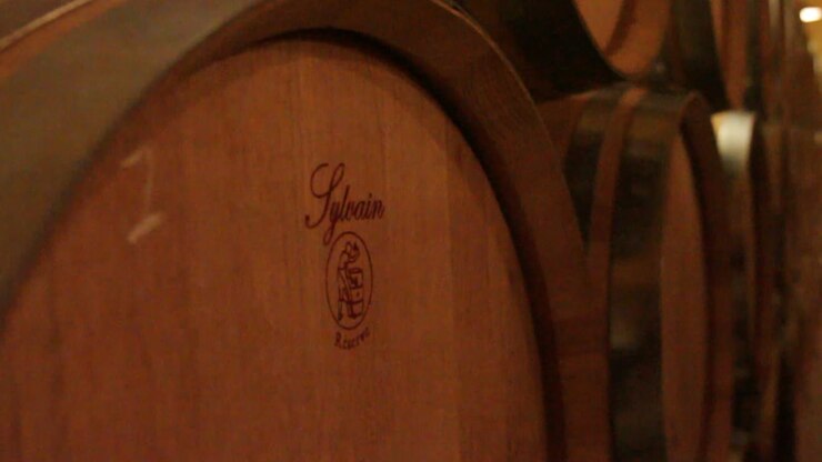 barriles de vino en la bodega