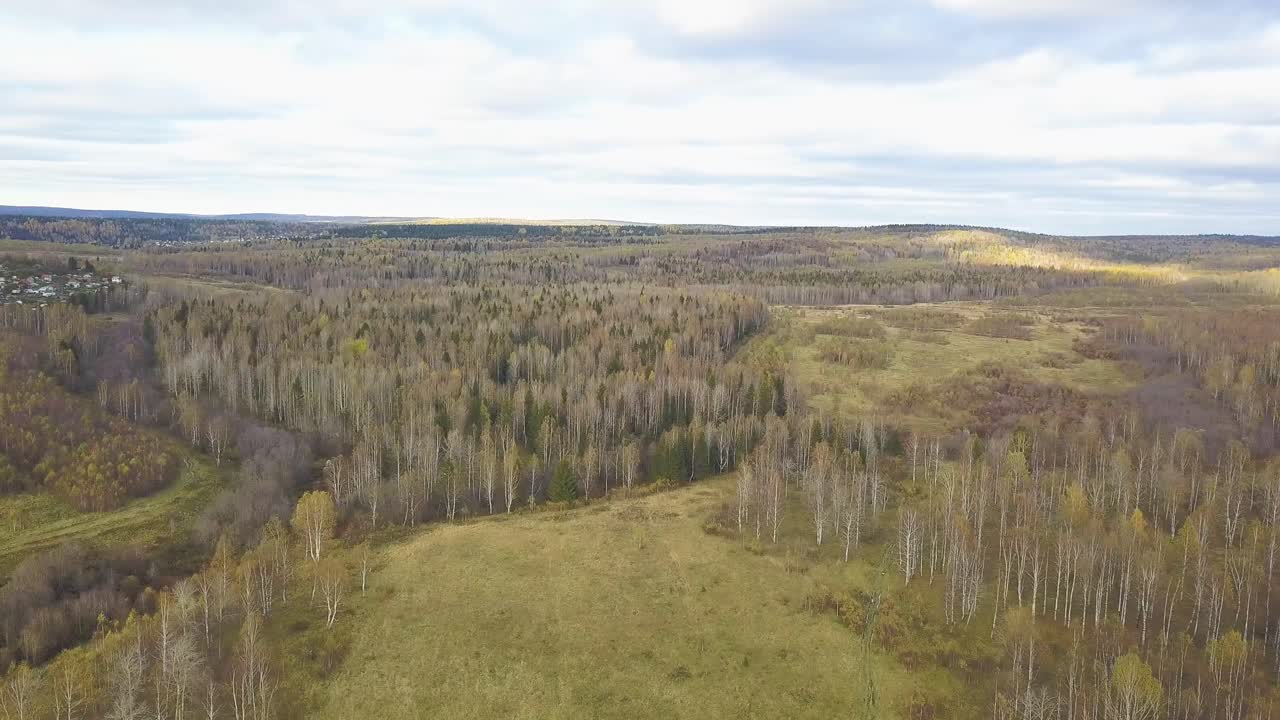 가을의 숲 풍경 공중 사진