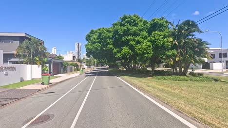 a peaceful street lined with lush trees