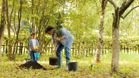 Portrait of a little boy and his dad planting a tree. Man takes the tree from the bucket and puts it into the hole. Boy stands beside his father with the bucket and a spade. Blurred background