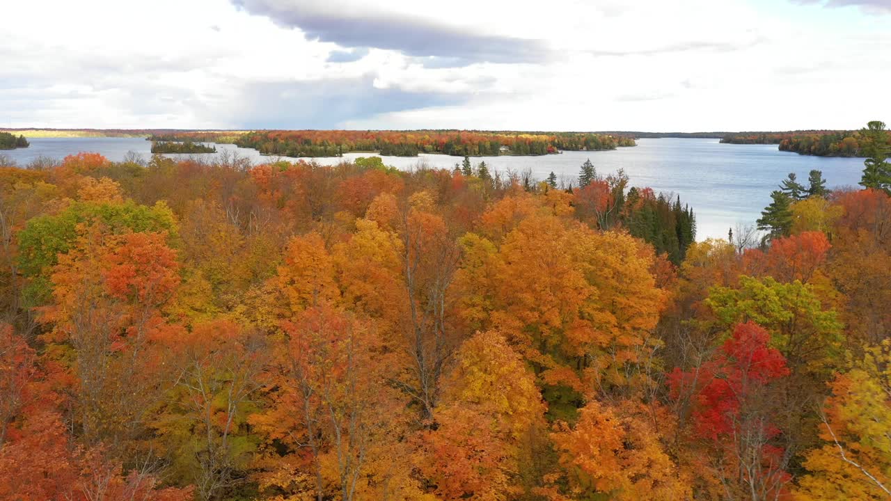 vuelo sobre las copas de los árboles otoñales para revelar el lago y el país de la cabaña