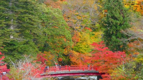 red bridge and fudo stream at mount nakano - momiji in autumn in kuroishi city ,aomori prefecture, tohoku region ,japan