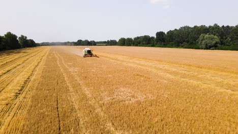 Fieldwork-during-the-wheat-harvest-season-on-sunny-days,-seen-by-drone