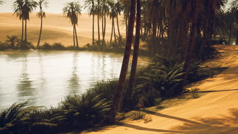 tranquil oasis with palm trees beside calm water in desert landscape at sunset