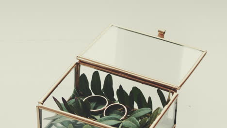 wedding rings in glass box with twigs