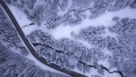 Luftaufnahmen,-Die-Die-Schönheit-Des-Winters-Zeigen,-Während-Es-Auf-Dem-Land-Mit-Einem-Wald-In-Der-Nähe-Schneit