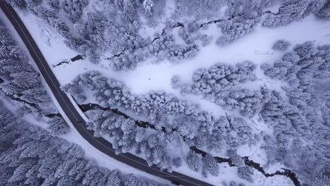 aerial footage showing the beauty of winter while snowing in the countryside with a forest nearby