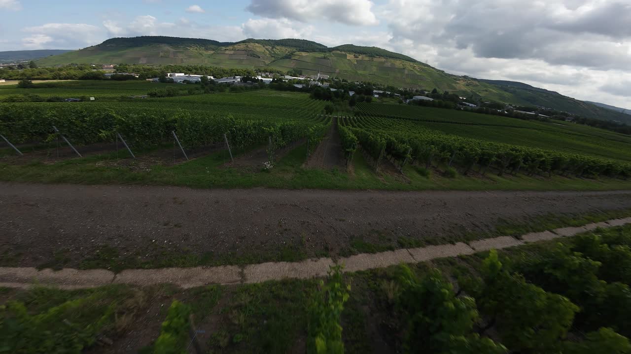 Vineyards in the moselle region. FPV aerial drone video