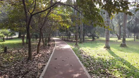 park path in sunny autumn day