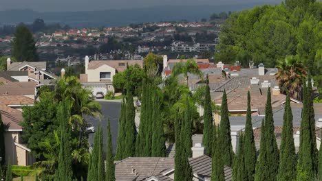 Vista-Aérea-Ascendente-Del-Ciprés-Italiano-Y-La-Vivienda-En-El-Sur-De-California