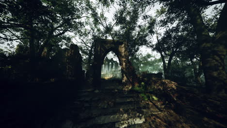 forgotten ruins in a dense forest