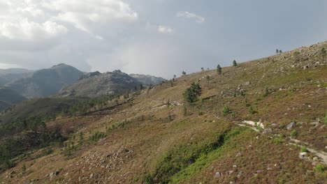 aerial forward view over trees in national park geres