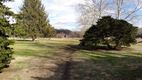 following a trail in the park with trees