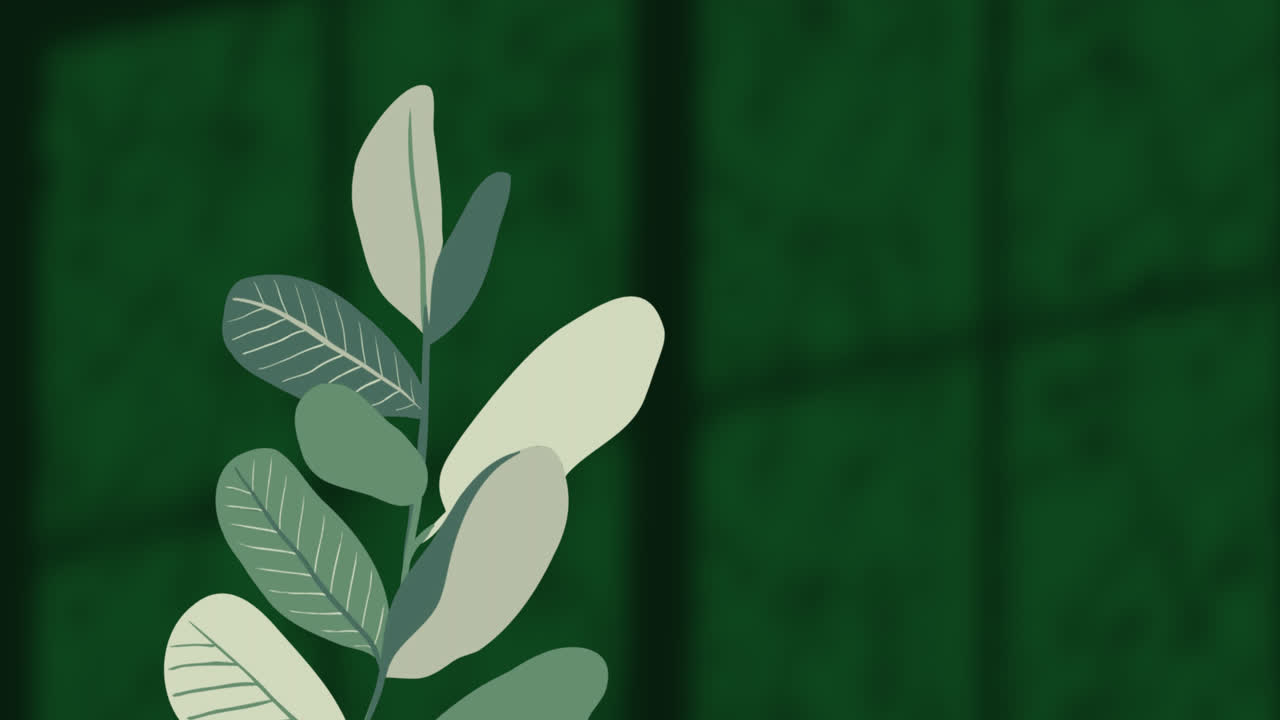 Animation of plants over leaves and window shadow on green background