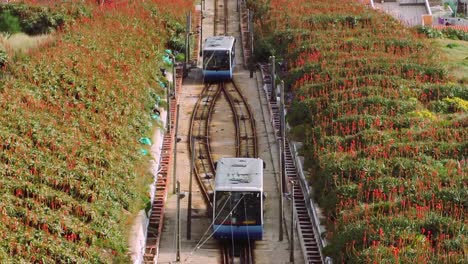 plano general. bifurcación de dos funiculares en nazaré