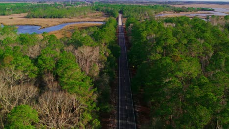 an overhead look at cars traveling a pine-forested roadway amid marsh and wetlands, showcasing townsend’s rural coastal scenery in georgia.