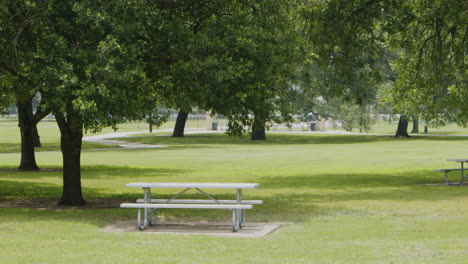 an empty park with a lone picnic table, surrounded by greenery