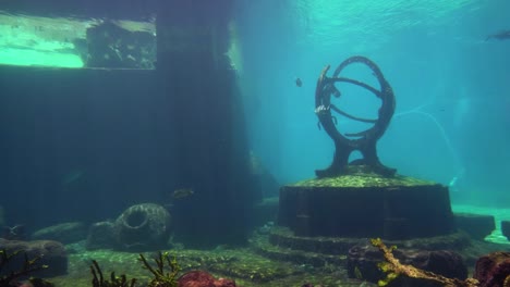 acuario con peces grandes y rayas marinas en colores azul claro y violeta