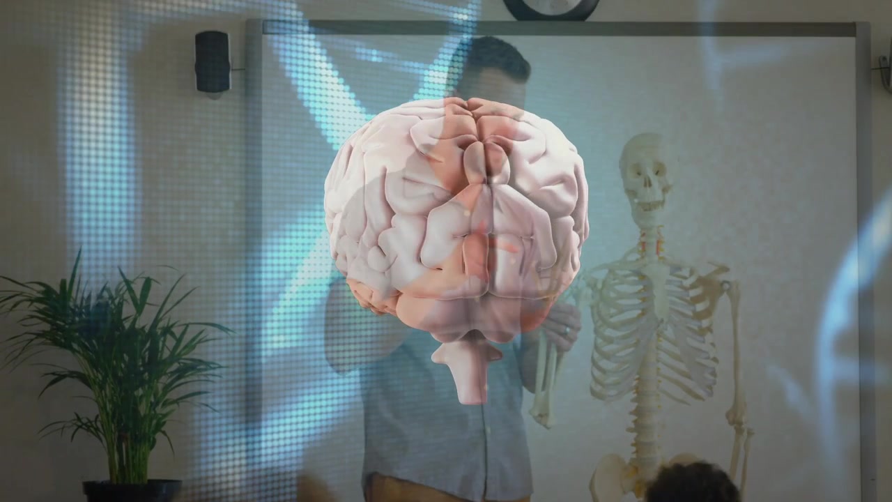 Profesor señalando un esqueleto, cerebro y ADN flotando sobre los escritorios mientras la clase levanta las manos para STEM.
