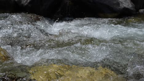 water is flowing through a mountain torrential river.