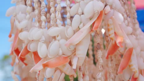 beautiful seashell wind chime