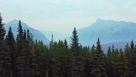 lake in the mountains revaled behind forest