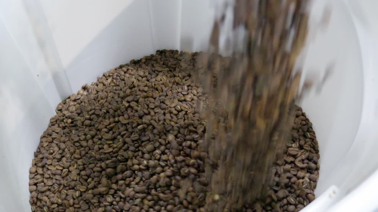 Witness the journey of coffee from raw beans to your favorite drink in a natural setting.