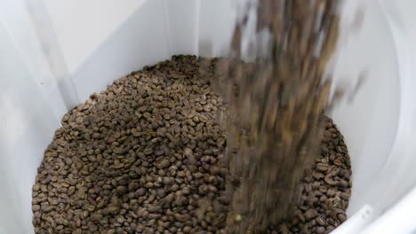 witness the journey of coffee from raw beans to your favorite drink in a natural setting.