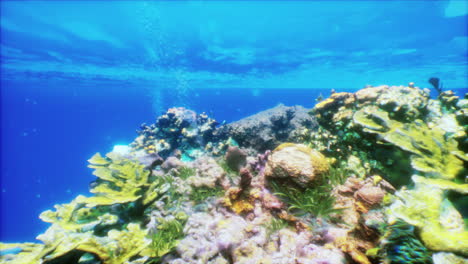 impresionante vista bajo el agua de un vibrante arrecife de coral