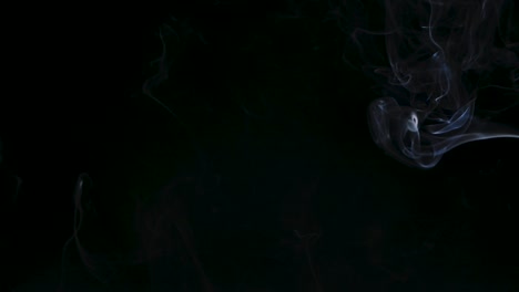 white cloud smoke on black background. close up. slow motion