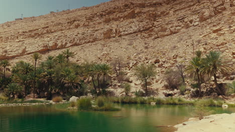 beautiful oasis in a mountain valley