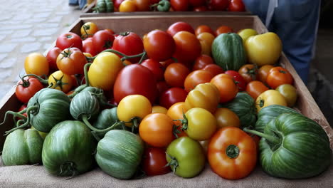 assortment of fresh and colorful heirloom tomatoes in a crate