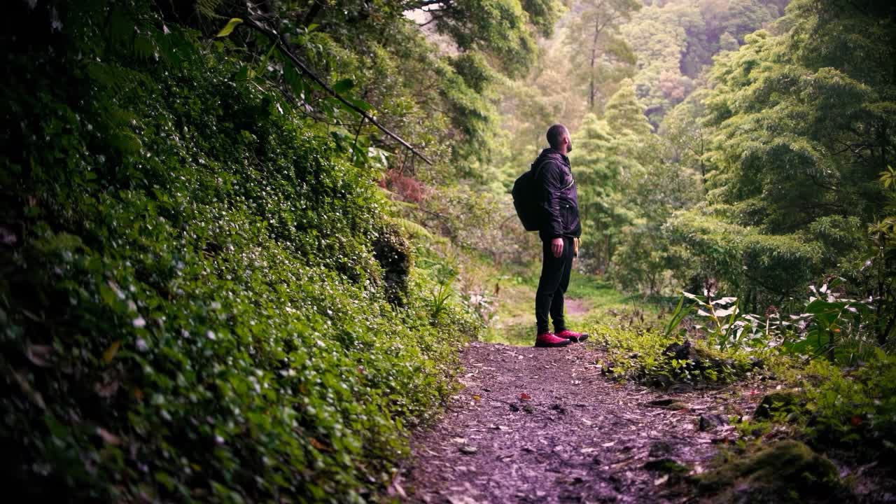 산의 숲에서 혼자 산책하는 남자