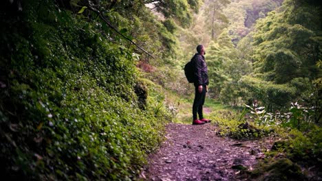 Alleiniger-Alleinstehender-Mann,-Der-Im-Bergwald-Wandert