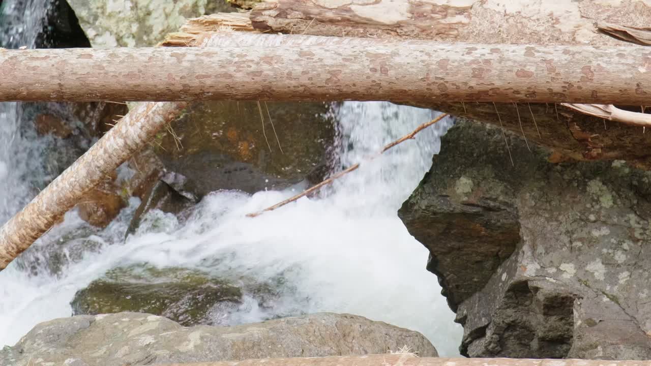 Slow-motion footage of a creek in the Gold Coast Hinterland, flowing gracefully over smooth rocks with vibrant white water, set against the backdrop of lush Australian nature.