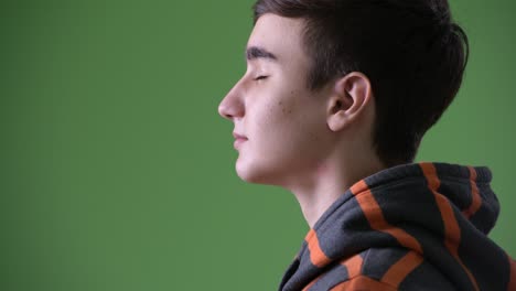 young handsome iranian teenage boy against green background